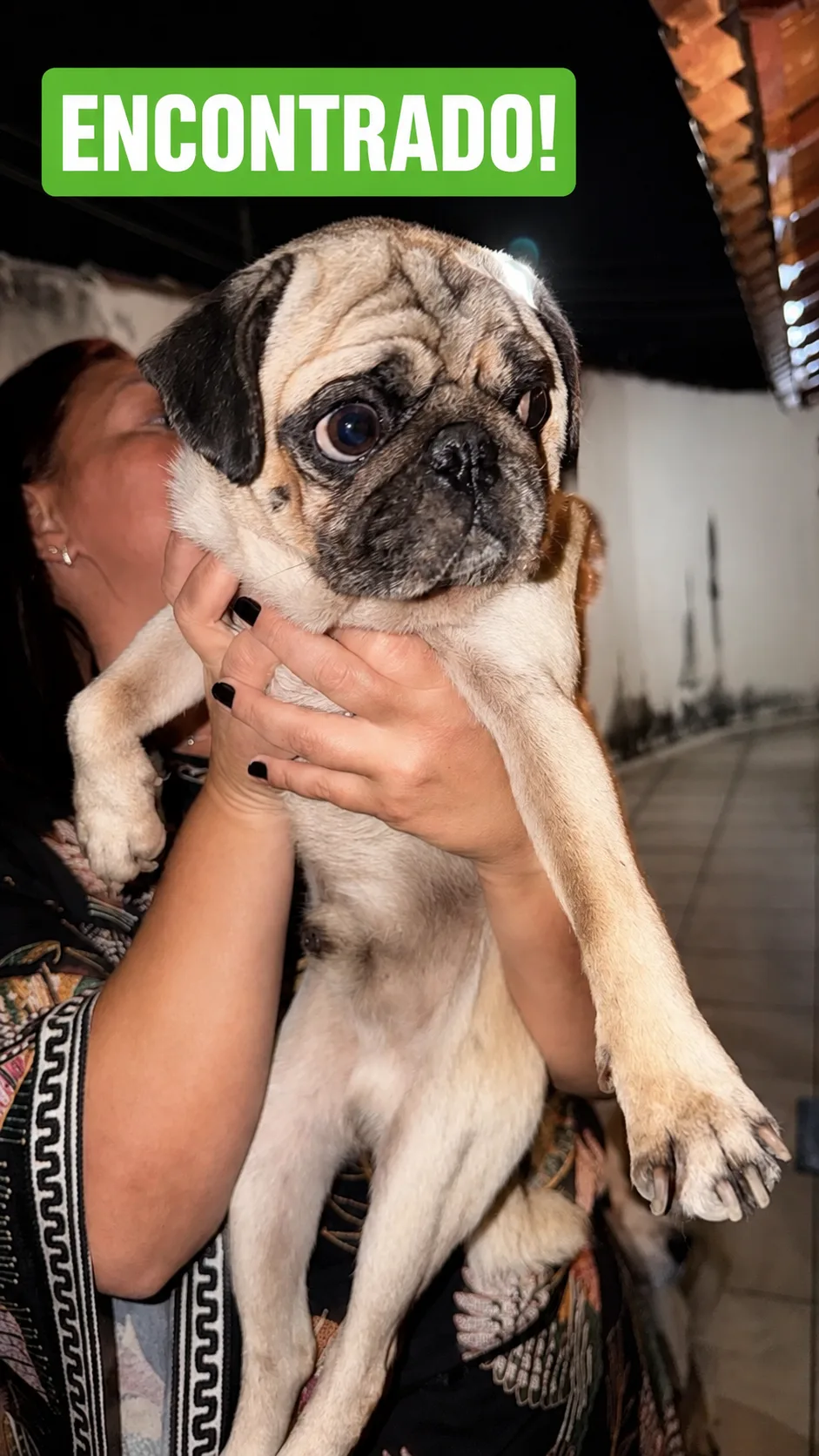 🐶 CACHORRO ENCONTRADO
